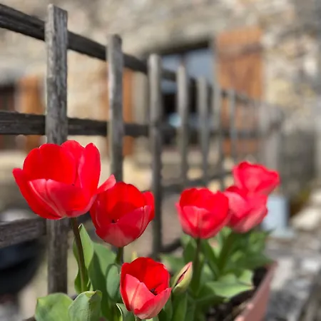 דירה Le Plantier 1 *